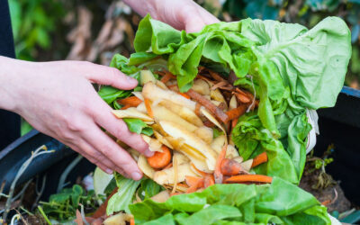 Quinzaine du compostage « Tous au compost »