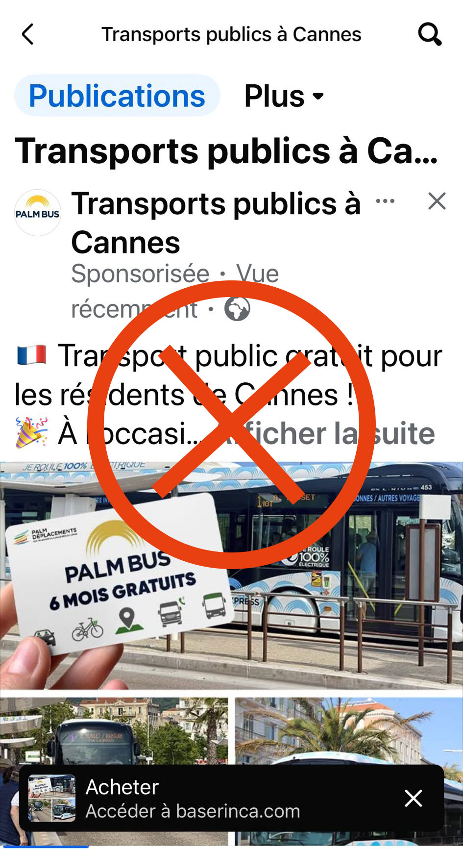 arnaque-palm-bus