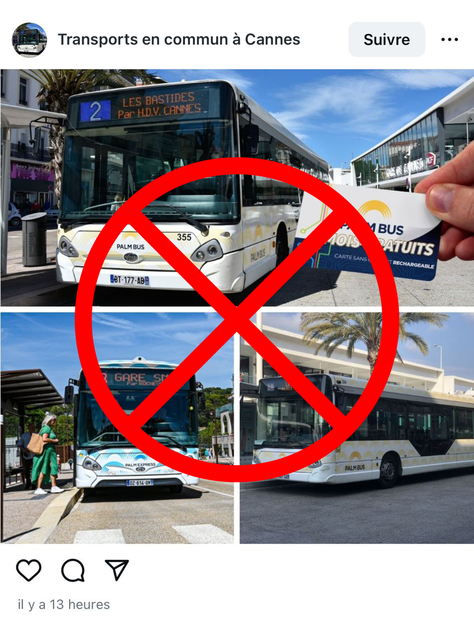 palmbus-arnaque